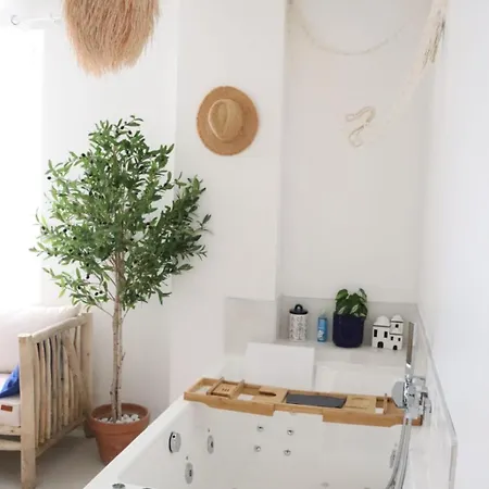 Apartamento Balneotherapie Sur Le Theme Du Japon Et De La Mediterranee Tolón