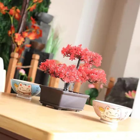 Balneotherapie Sur Le Theme Du Japon Et De La Mediterranee *