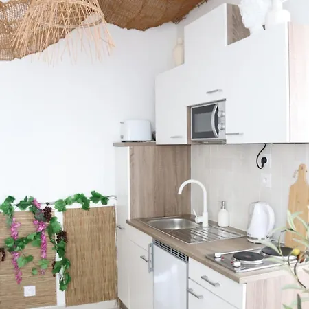 Apartamento Balneotherapie Sur Le Theme Du Japon Et De La Mediterranee Tolón
